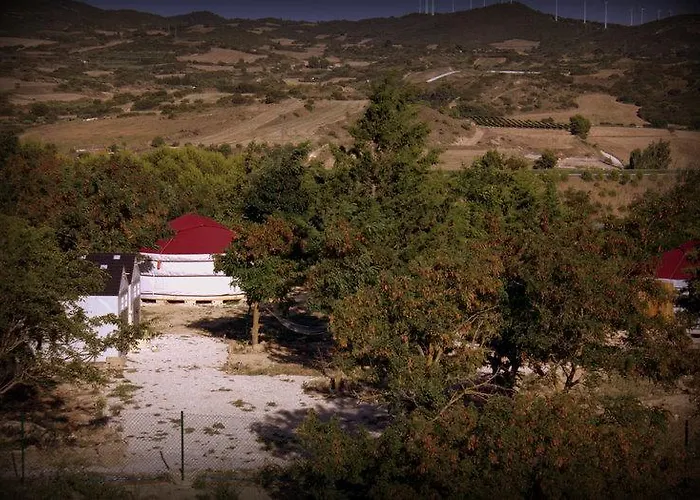 Campo De Reyes