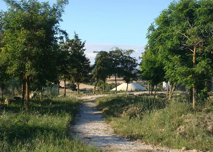 Campo De Reyes