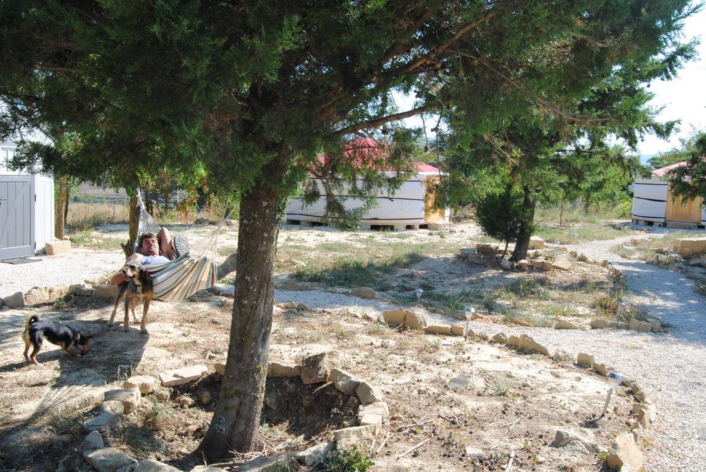 Campo De Reyes