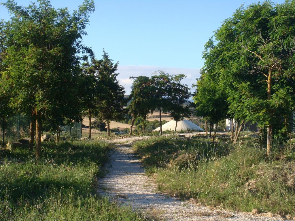 Campo De Reyes 2*
