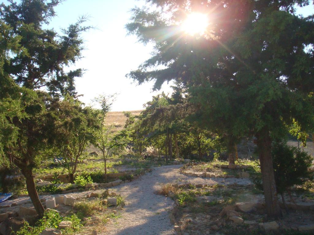 Campo De Reyes 2* Tafalla